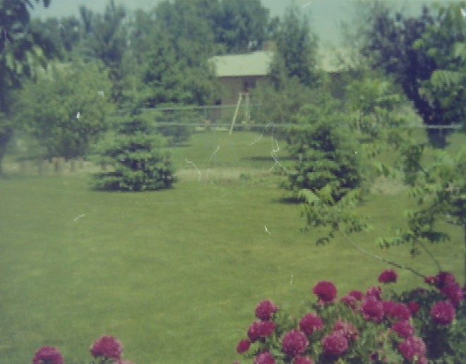 My beautiful picture