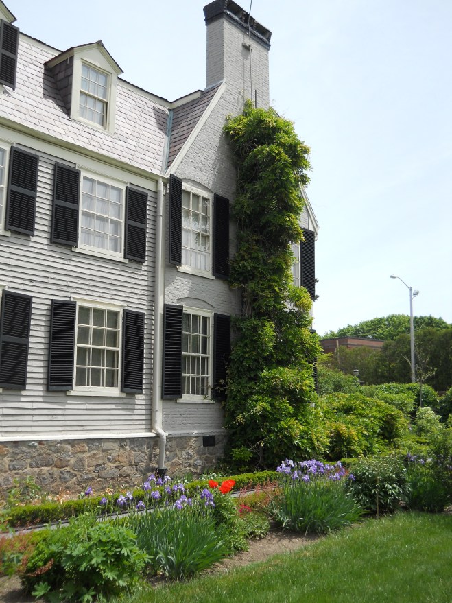 The other end of Peacefield