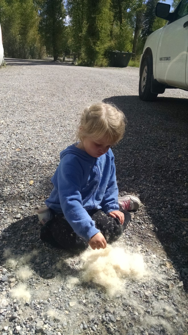 Playing with cattails