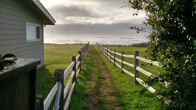Pacific at Yachats, Oregon