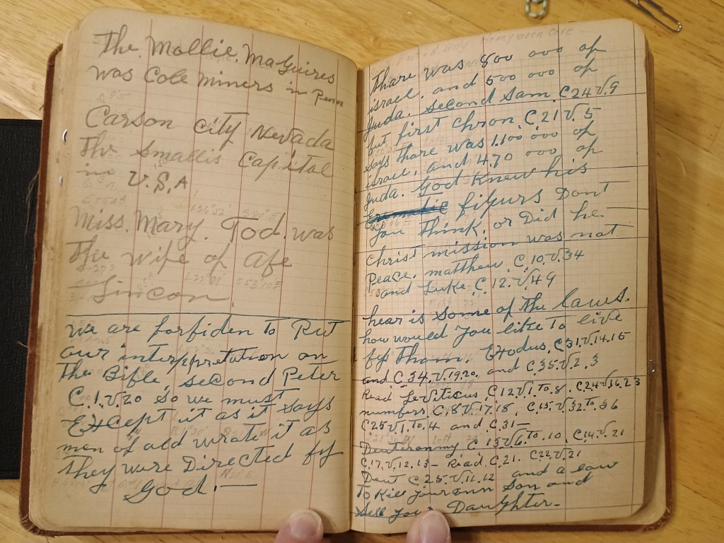 Field Book No. 704, pages 47–48